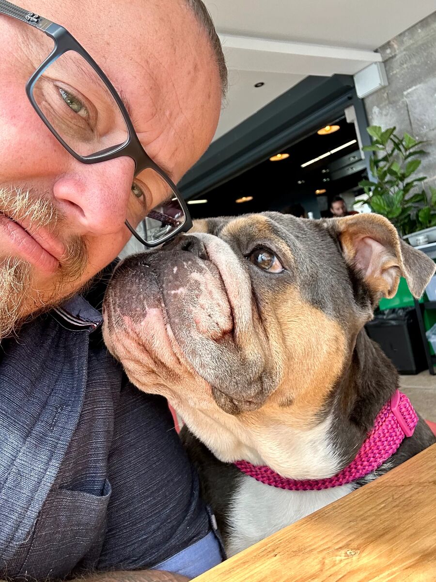 David with Winnie the bulldog, wearing her pink collar